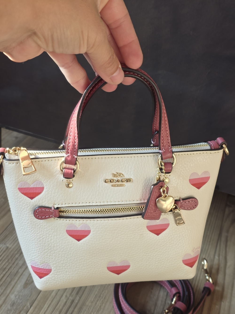 Coach Mini Gallery Crossbody with Stripe Heart Print - Picture 8 of 10
